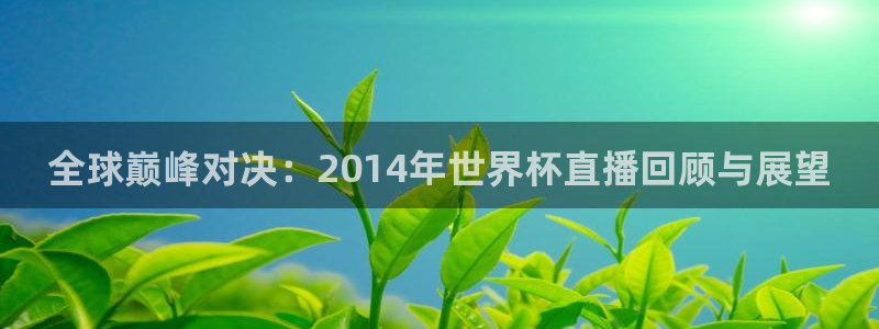 世界杯决赛圈球队:全球巅峰对决:2014年世界杯直播回顾与展望