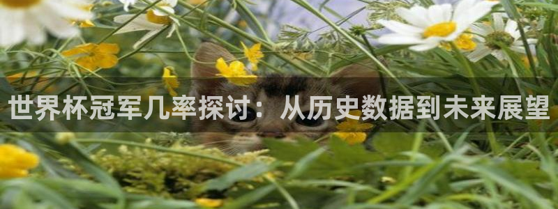 世界杯:世界杯冠军几率探讨:从历史数据到未来展望