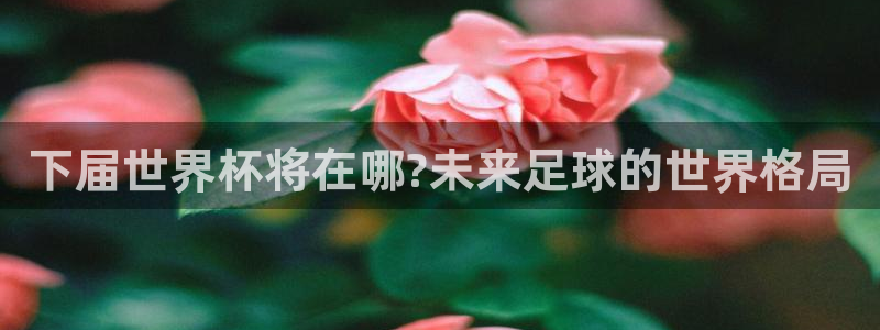 世界杯比赛直播:下届世界杯将在哪?未来足球的世界格局