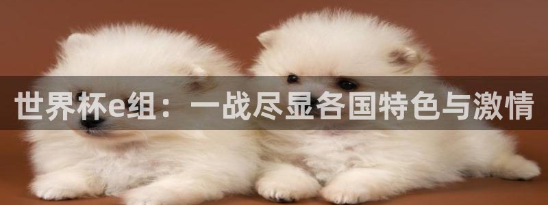 2026年男足世界杯:世界杯e组:一战尽显各国特色与激情