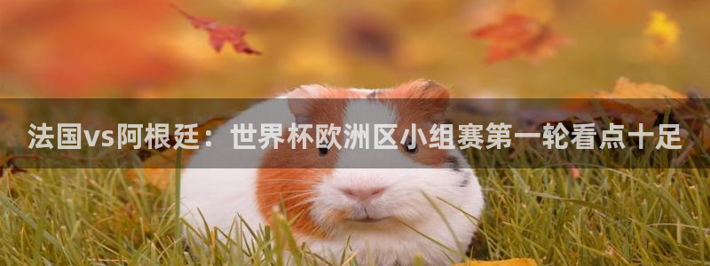 美洲杯直播:法国vs阿根廷:世界杯欧洲区小组赛第一轮看点十足